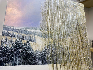“Winter Lights”