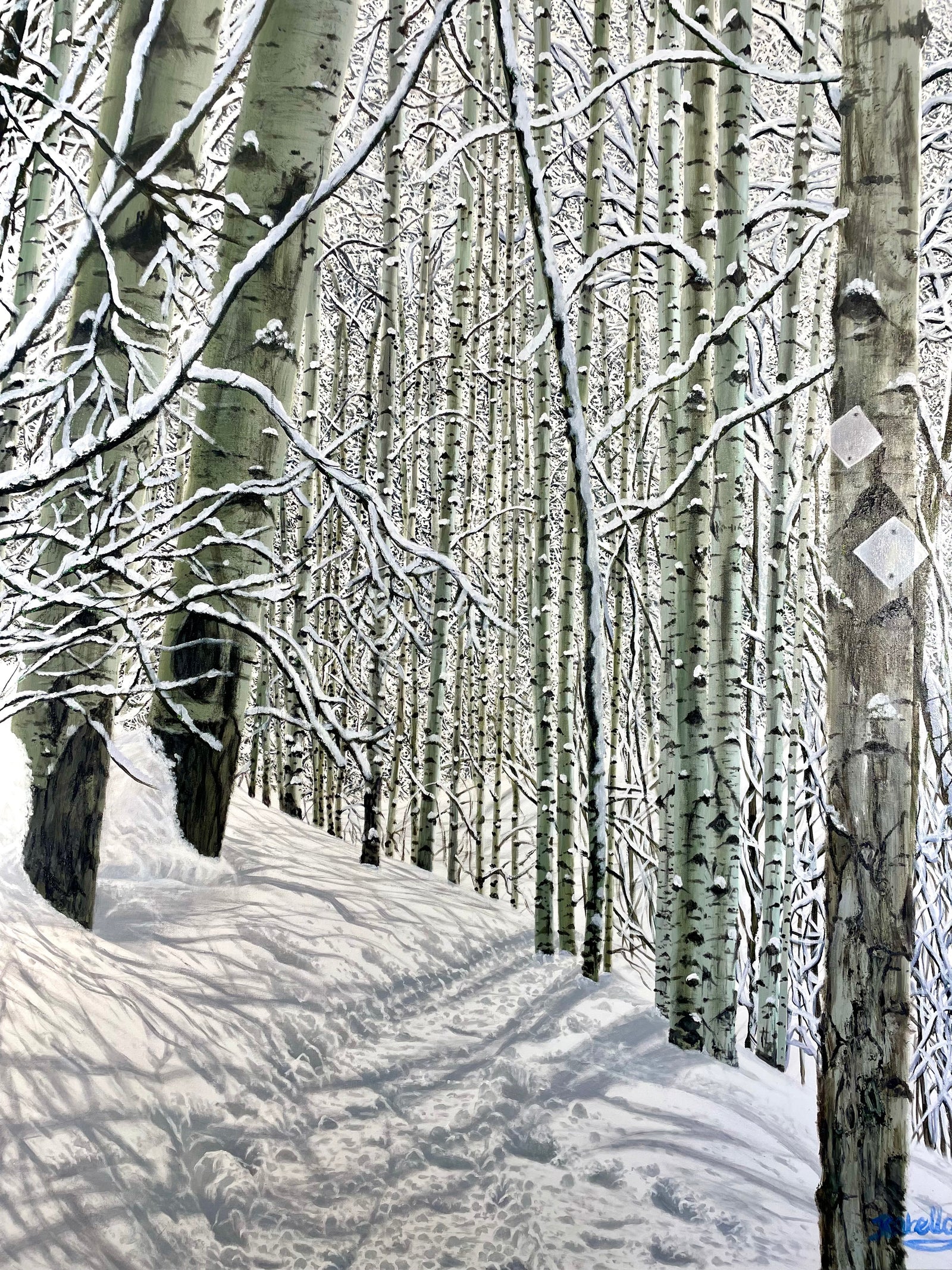 “Tom Blake Trail; A Morning In February”