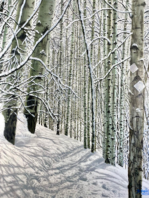 “Tom Blake Trail; A Morning In February”