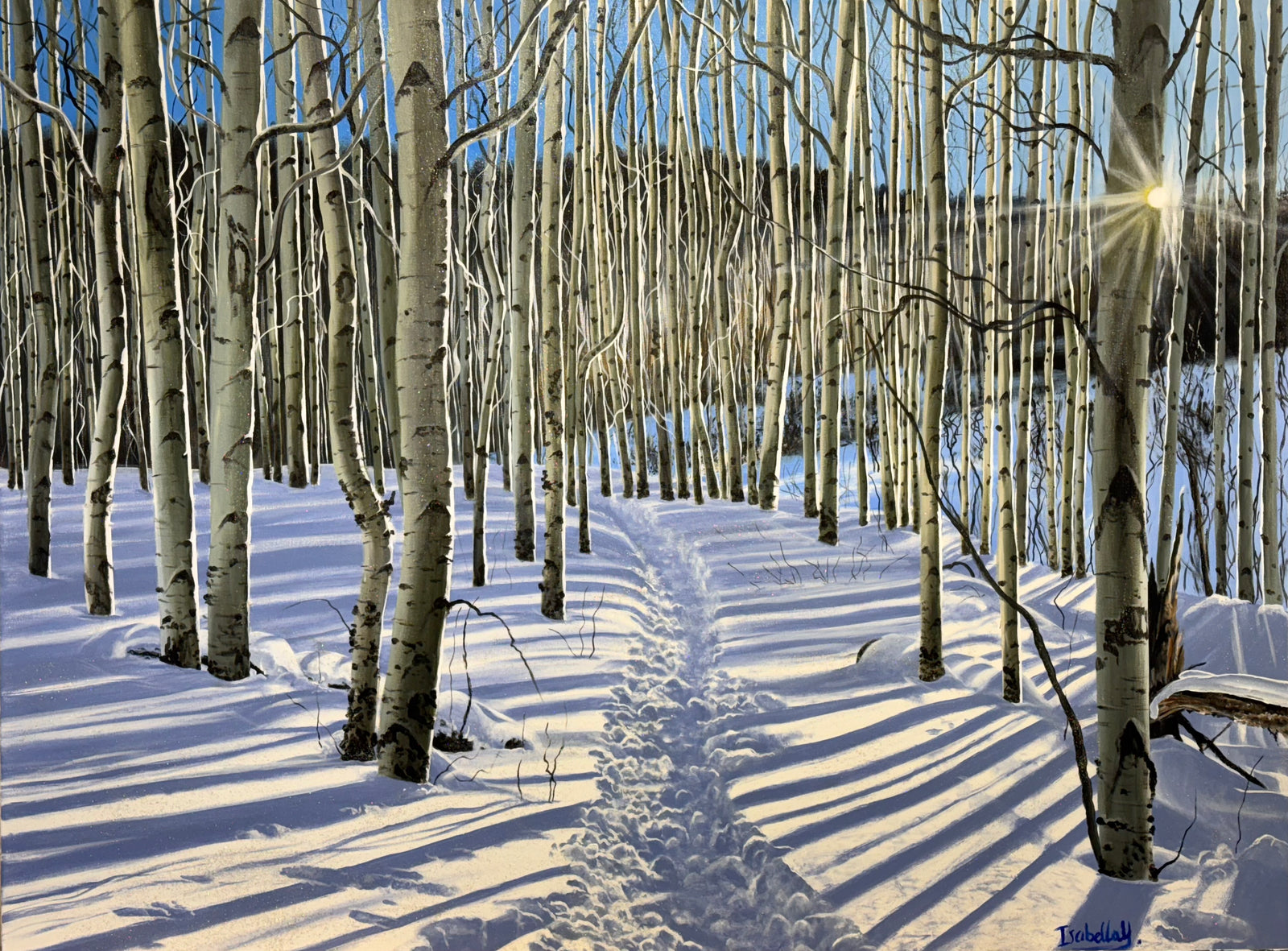 “Golden Hour In The Cold Of Winter; Anaerobic Nightmare Trail, Snowmass”
