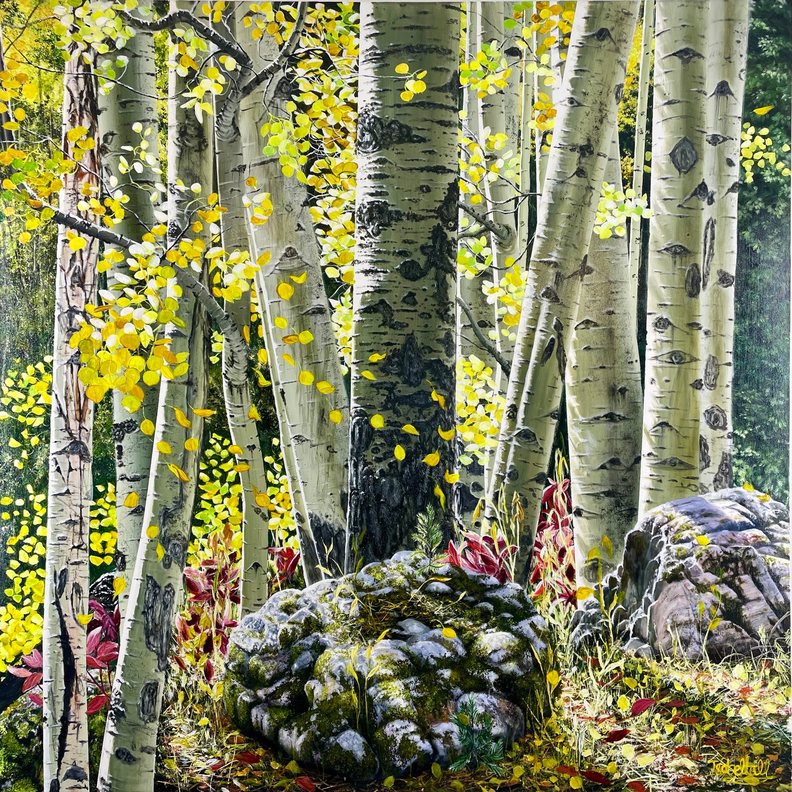 “Capitol Creek Ditch Trail; Hugged by The Wind”