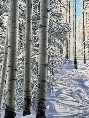 “ Some where On The Burnt Mountain Glades”