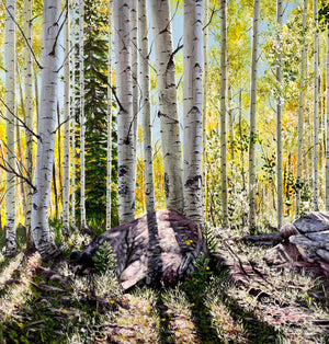 Portfolio images