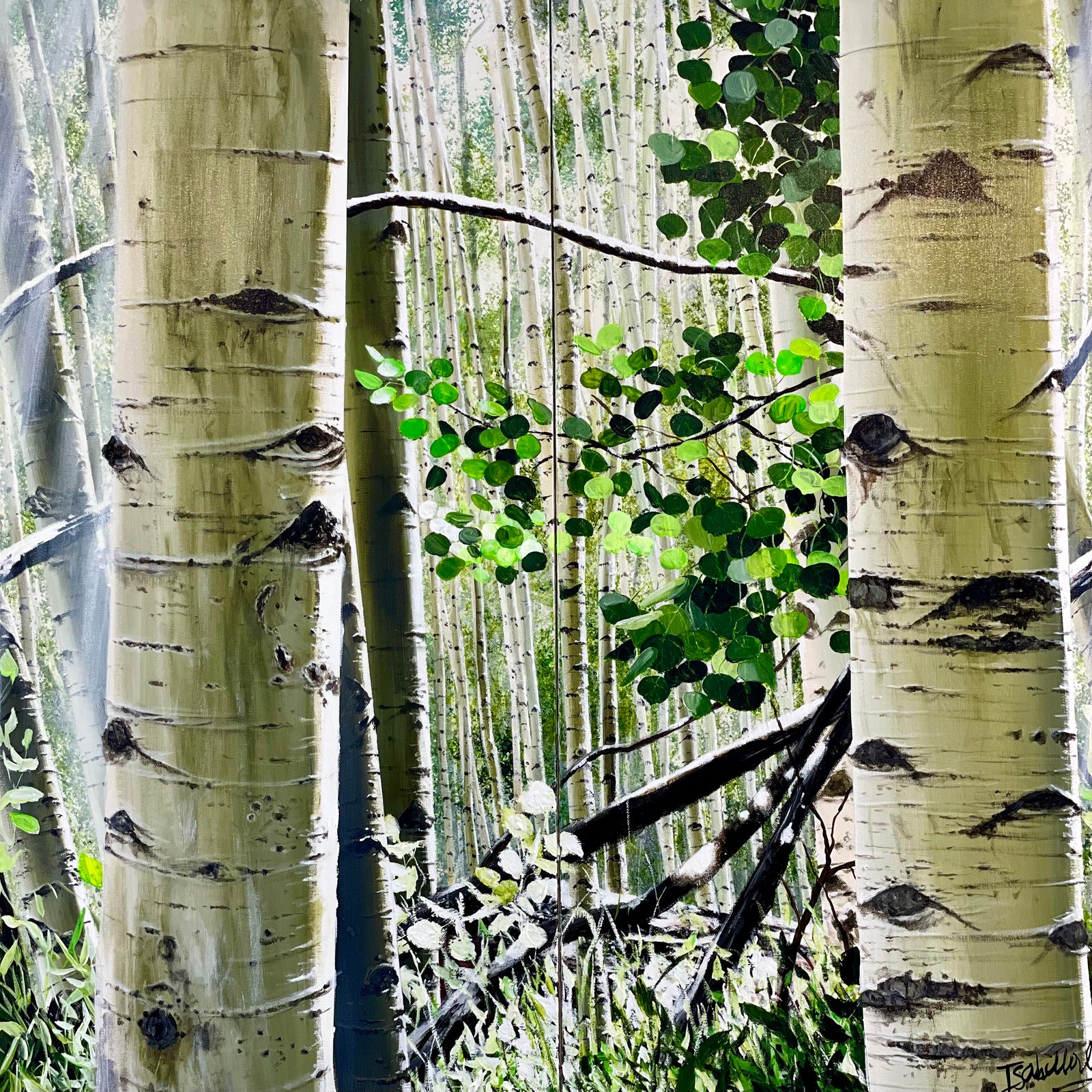 “Aspen Lights”