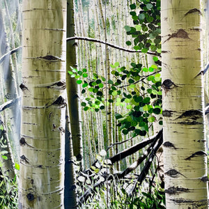“Aspen Lights”