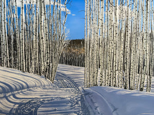 Portfolio images