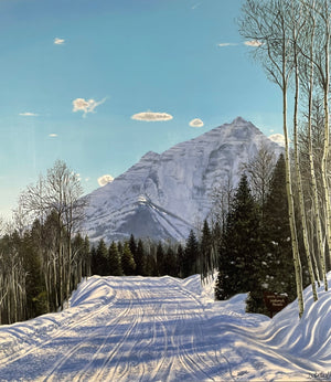 Portfolio images