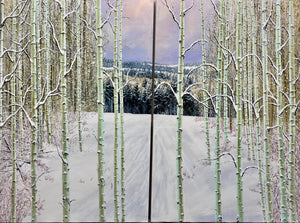 “Winter Lights”