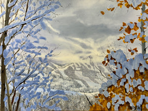 Portfolio images