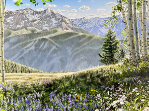 “Top Of Ajax; Richmond Ridge, Memories of Summer”
