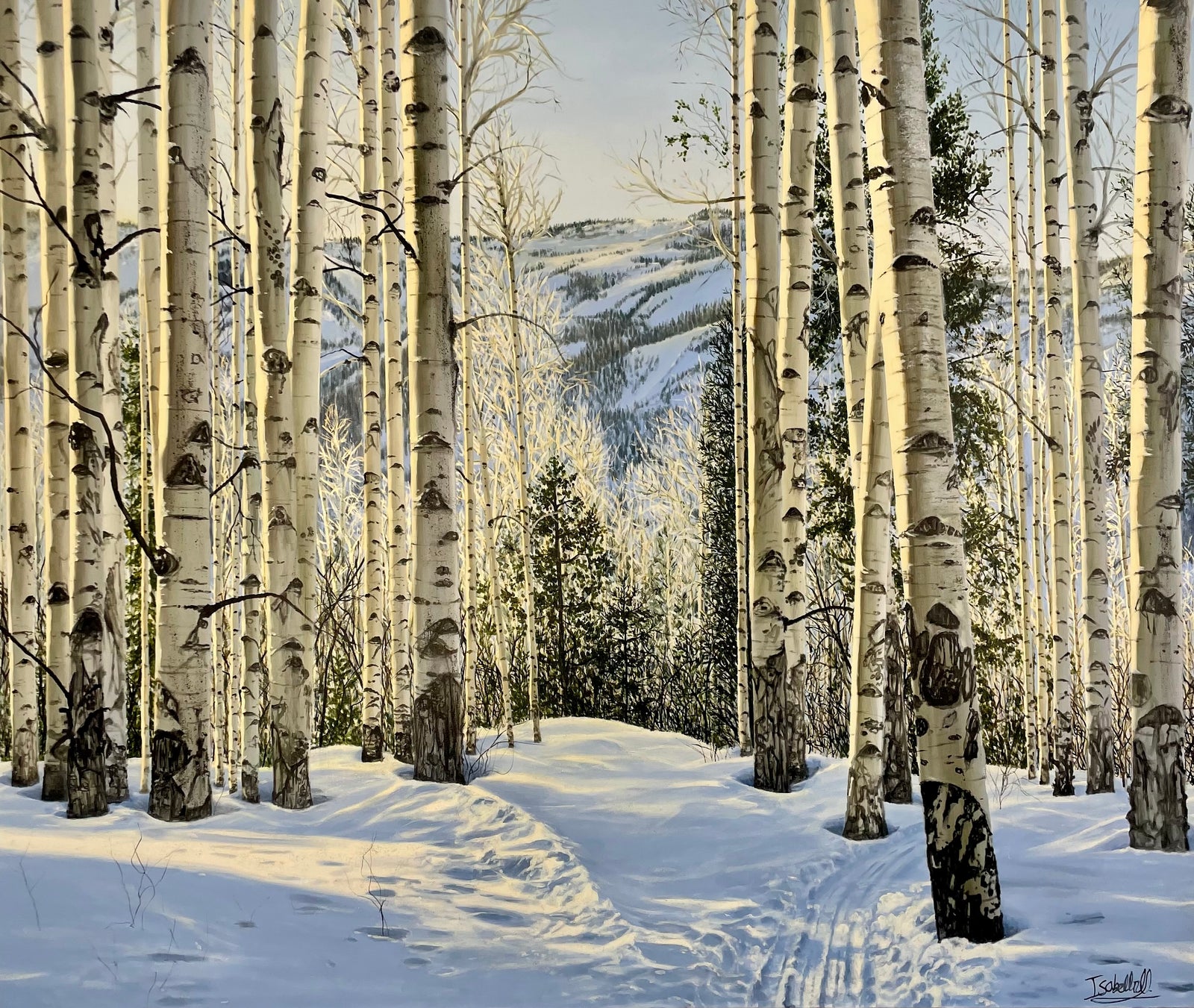 “Golden Hour In Winter; Tom Blake Trail”