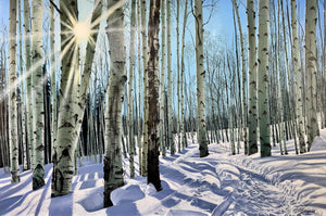 Portfolio images