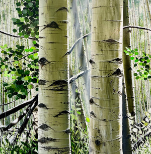 “Aspen Lights”