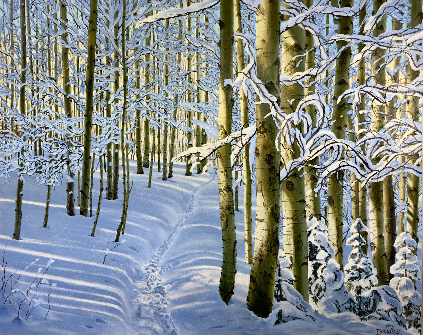 “The Light Avove; Government Trail, Snowmass”