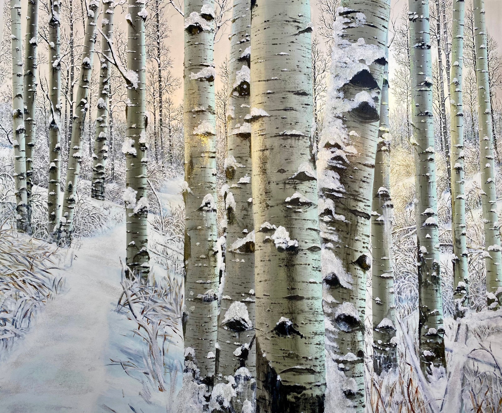“Enchanted Forest”