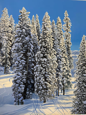 Portfolio images