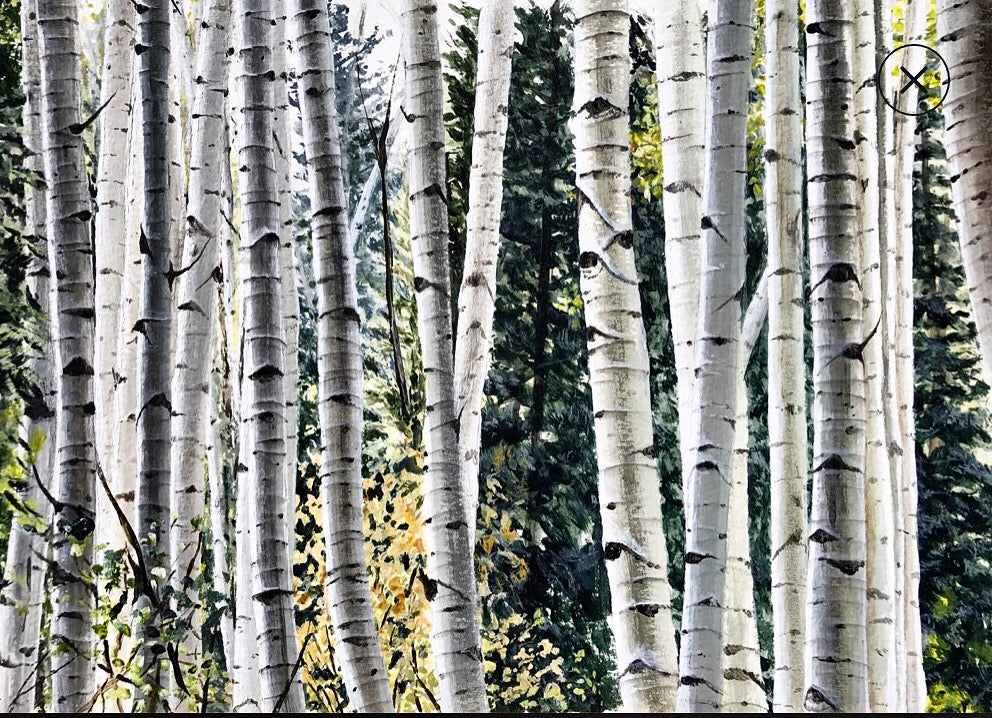 Untitled.