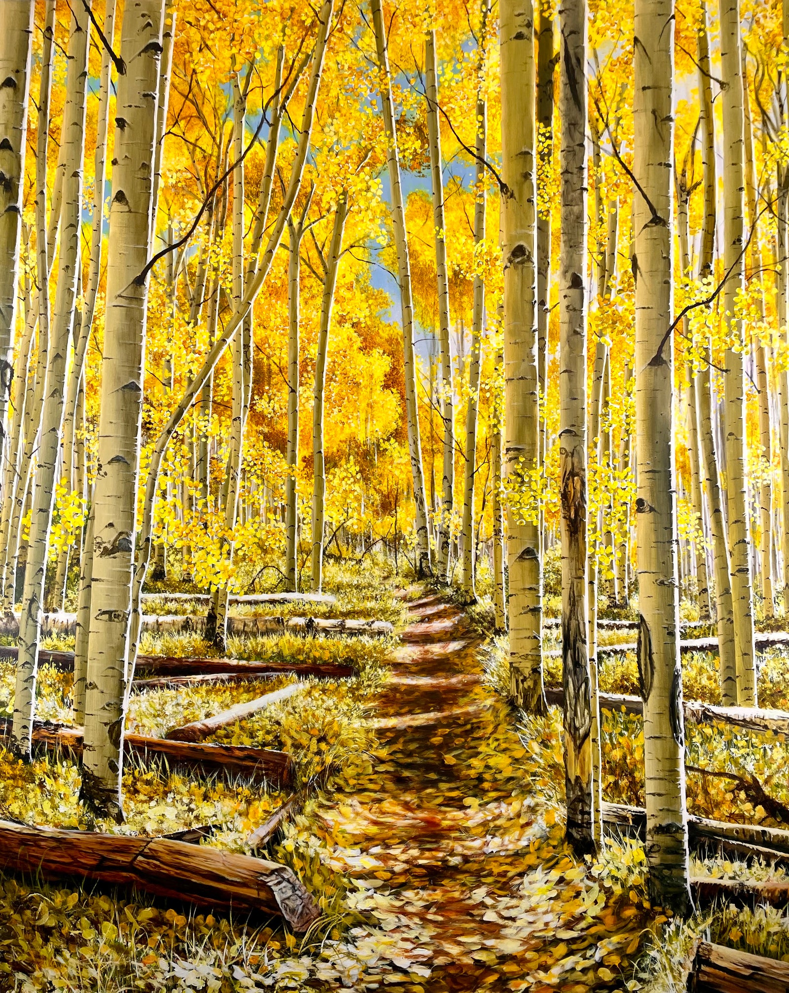 “Capitol Creek; Kate’s View”