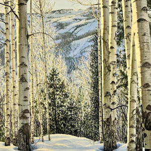 “Golden Hour In Winter; Tom Blake Trail”