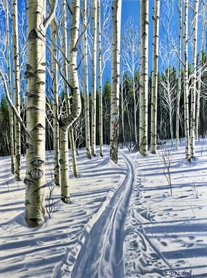 Portfolio images