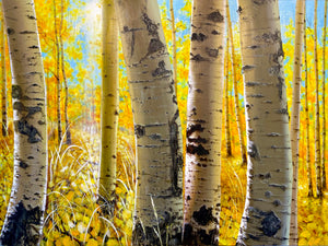“The Splendor Of Fall Time”