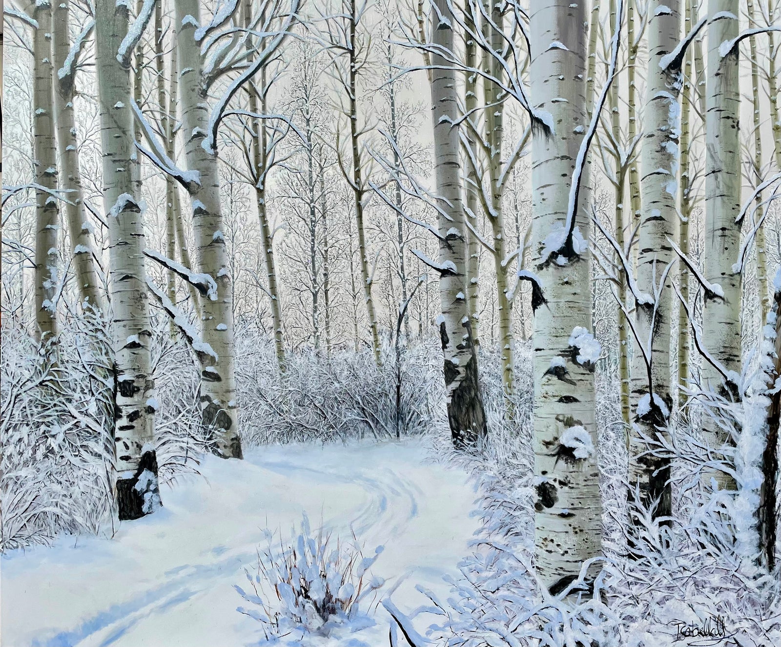 “The Quietness Of Winter”