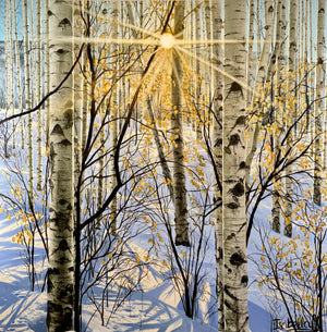 “The Light Of The Son”