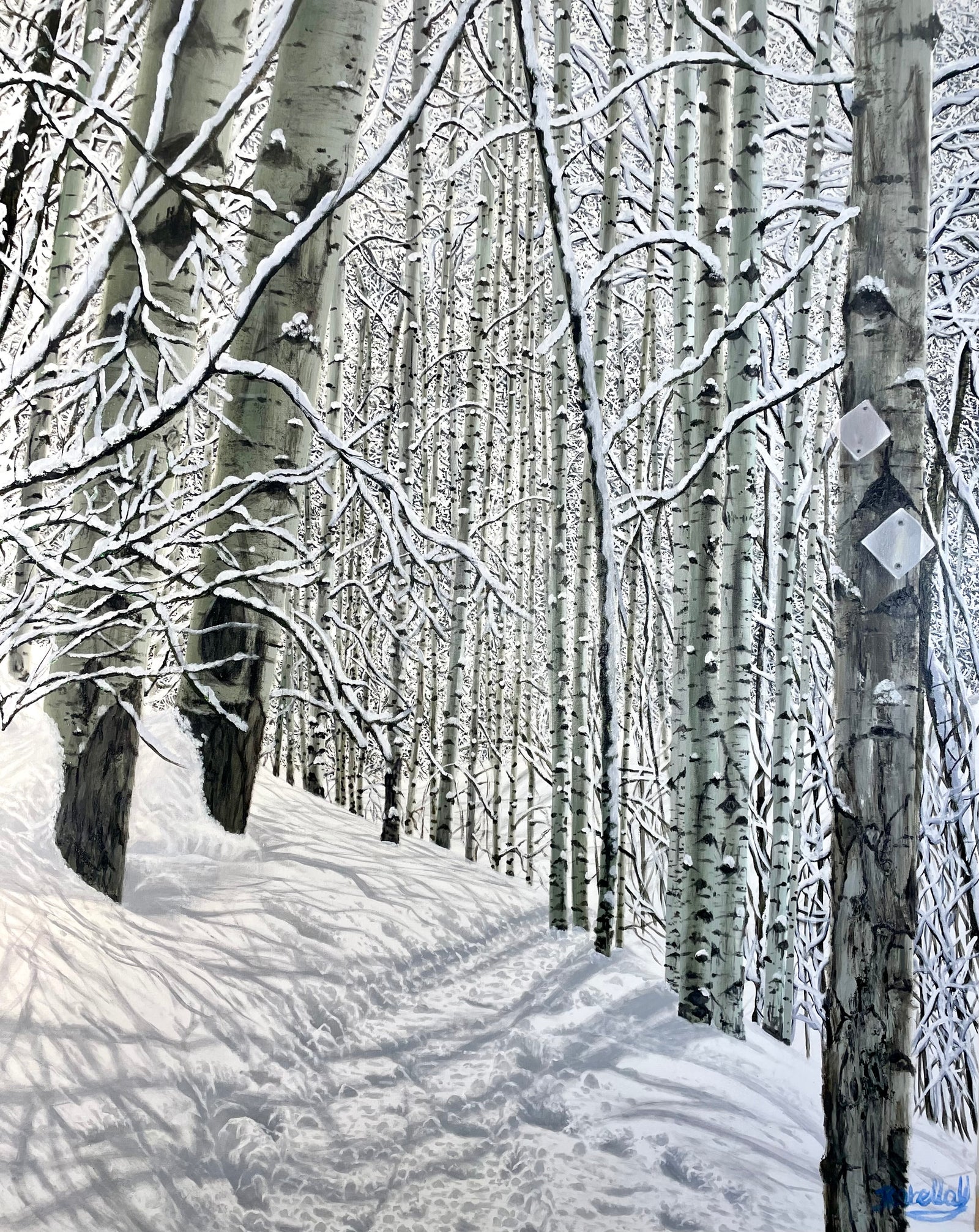 “A Cold In February; Tom Blake Trail”