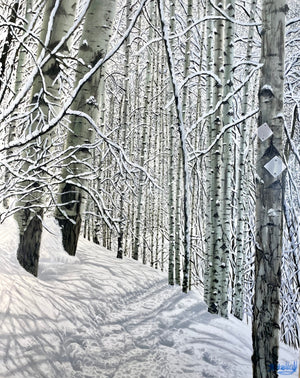 “Tom Blake Trail; A Morning In February”