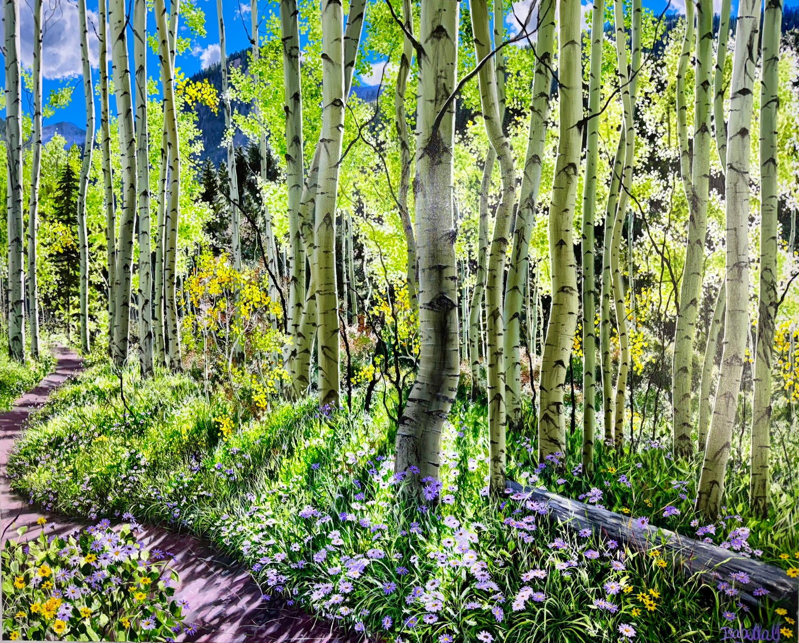 “Conundrum Creek Trail; Path of Life”