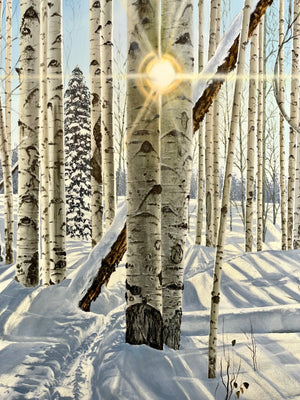 “Quietude”
