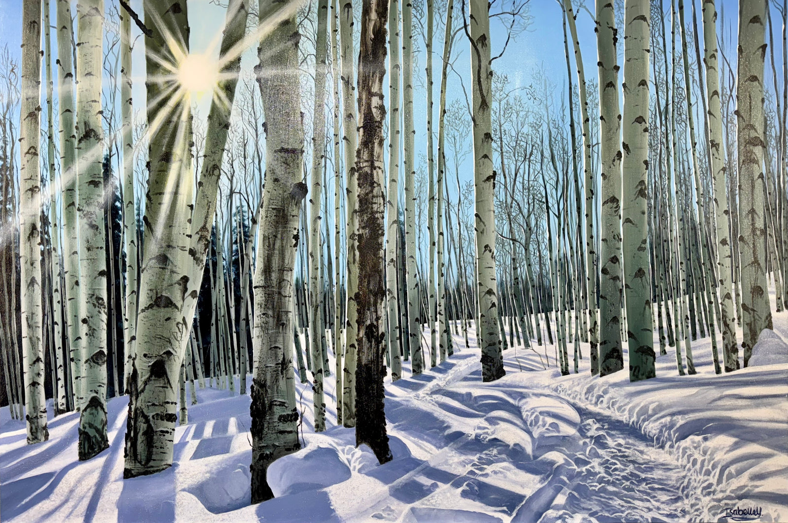 “Making Memories In The Snow; Somewhere in Snowmass, Anaerobic Nightmare Trail”