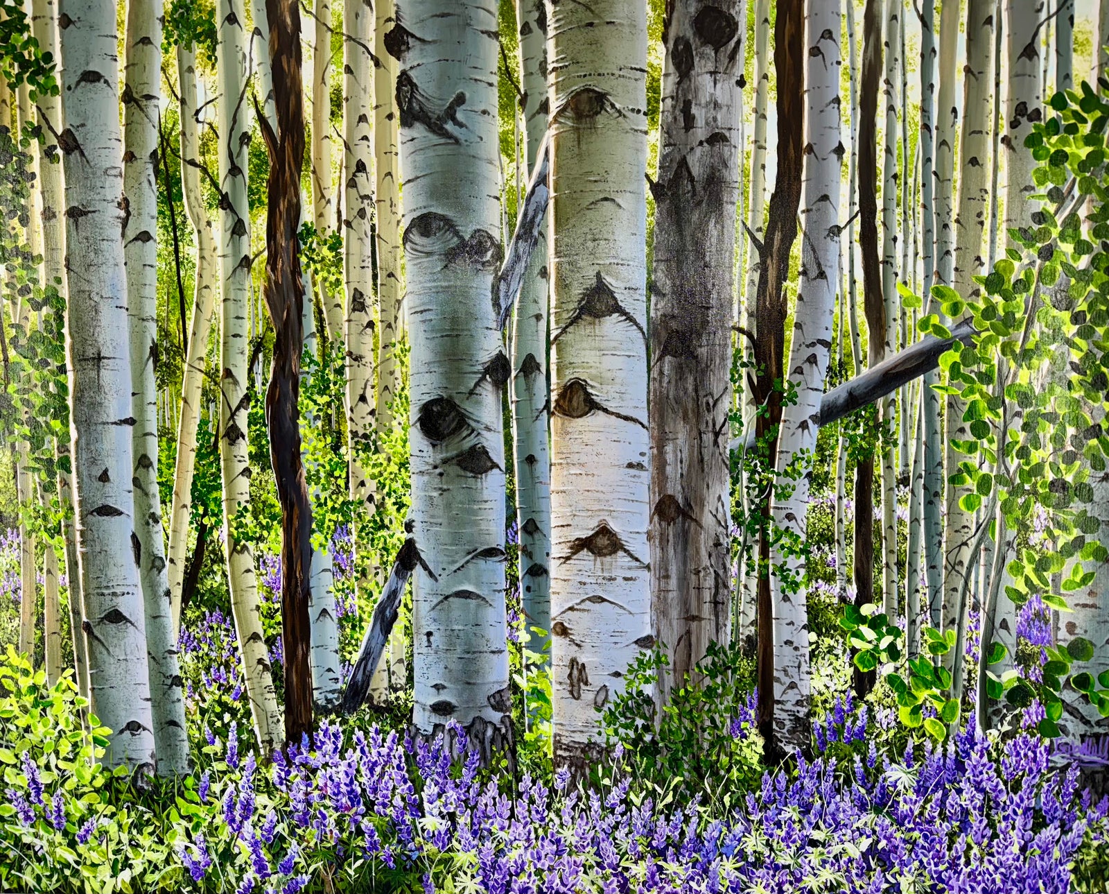 “After The Winter; Anaerobic Nightmare Trail, Snowmass”