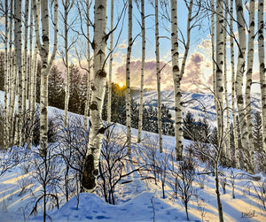 Portfolio images