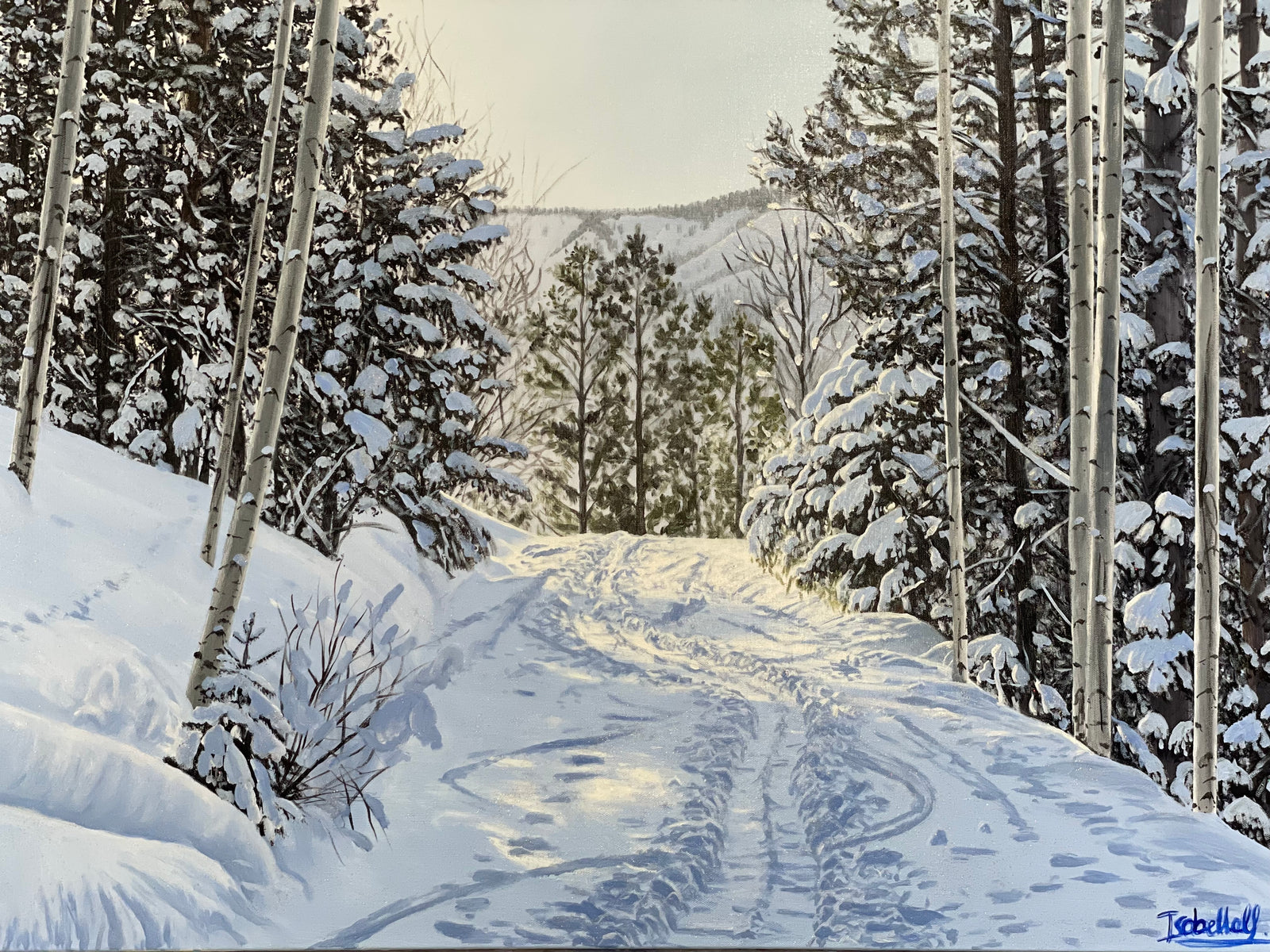 “An Afternoon Walk: Ditch Trail Snowmass”