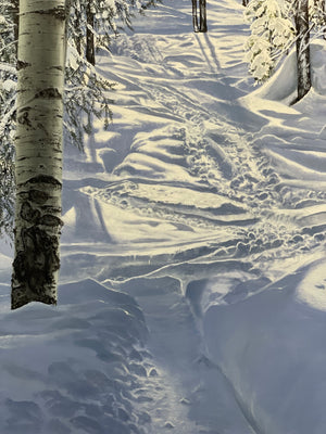 “ Some where On The Burnt Mountain Glades”