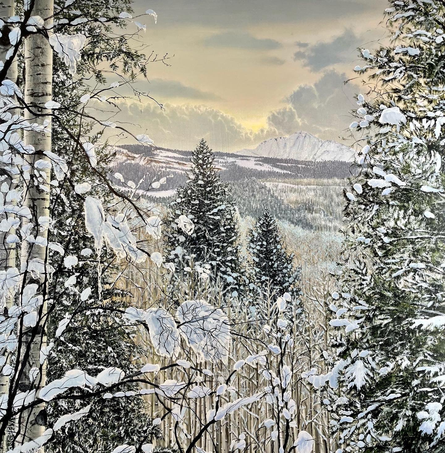 “Shades Of Snow”