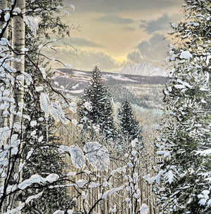 “Shades Of Snow”
