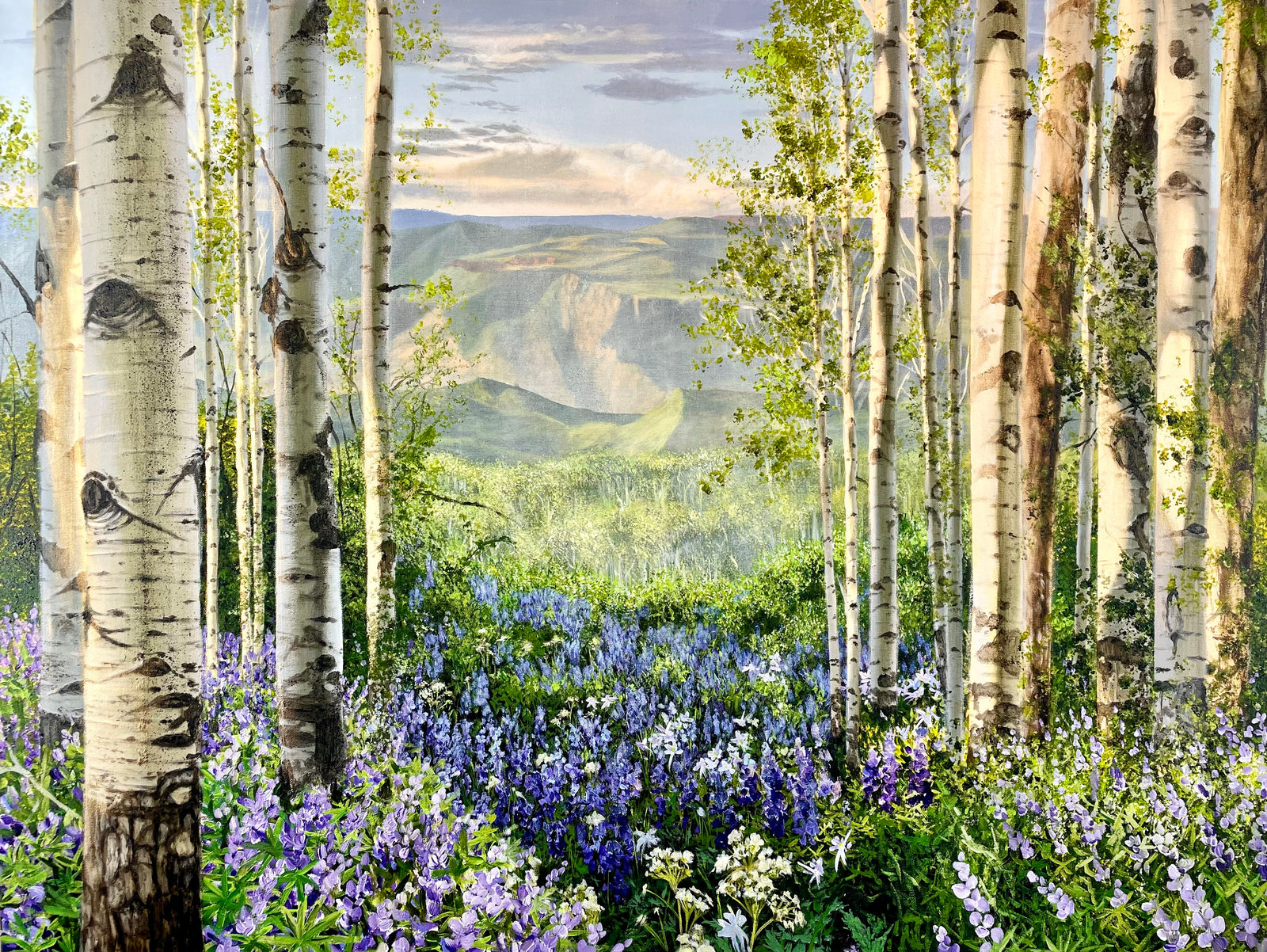 “Ah Afternoons In Colorado”