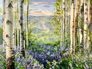 “Ah Afternoons In Colorado”