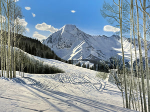 Portfolio images