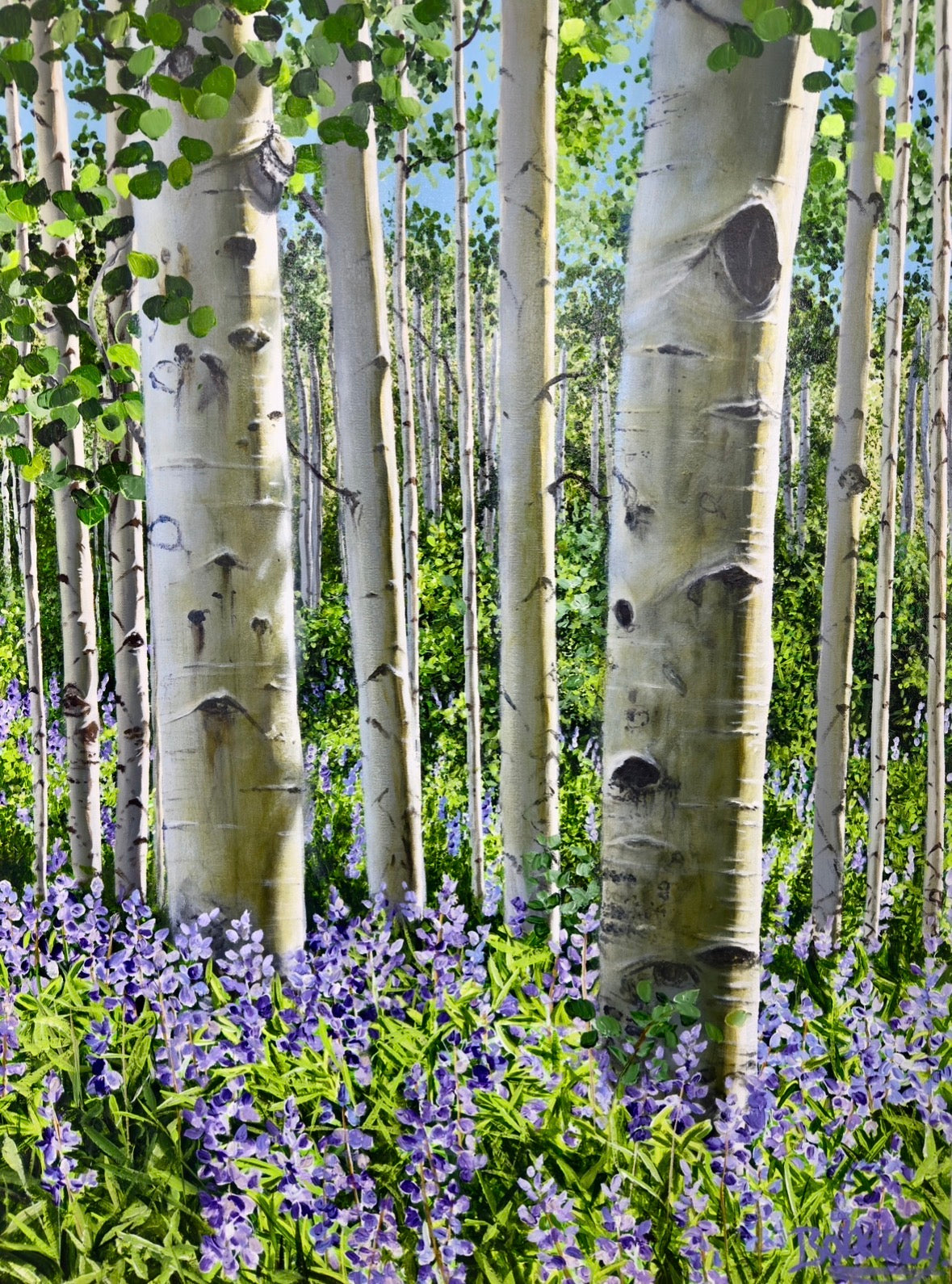 Lupines On Vista Trail
