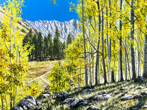 Portfolio images
