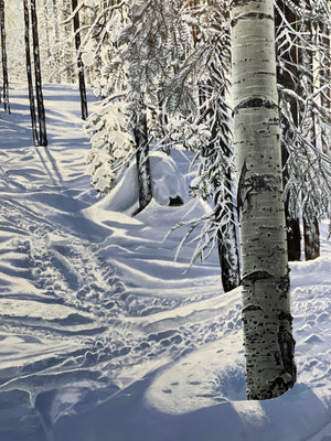 “ Some where On The Burnt Mountain Glades”
