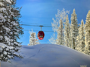 Portfolio images