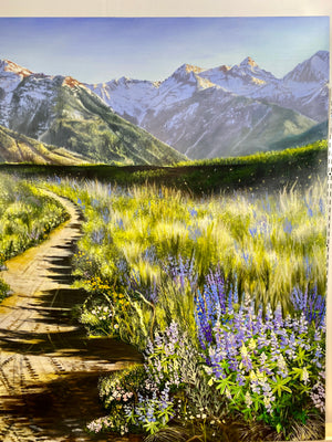“Abundance In Solitude”