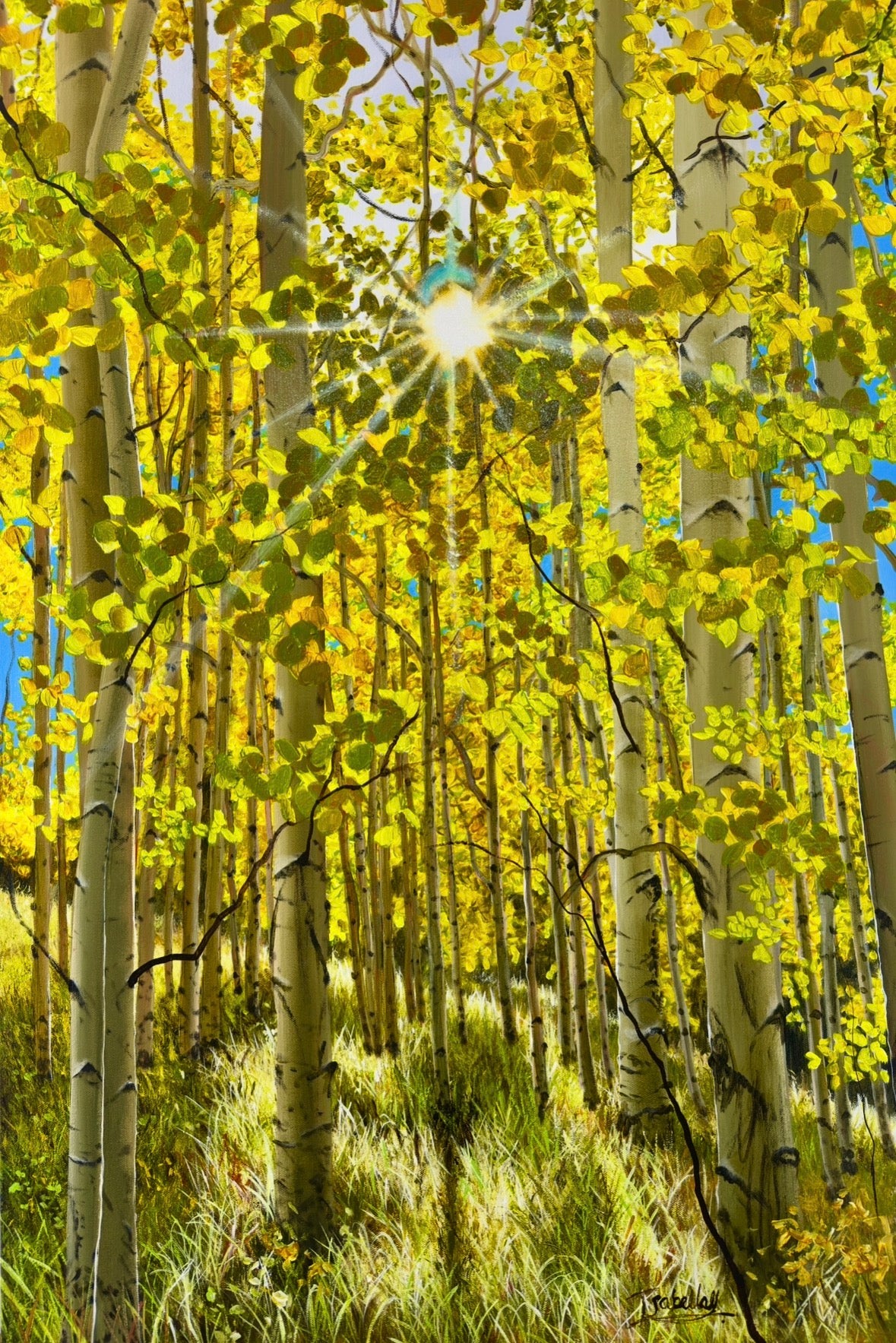 “Transition”