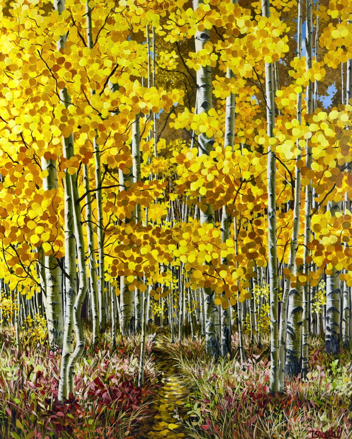 “Treasures of Gold In The High Country: Government Trail”