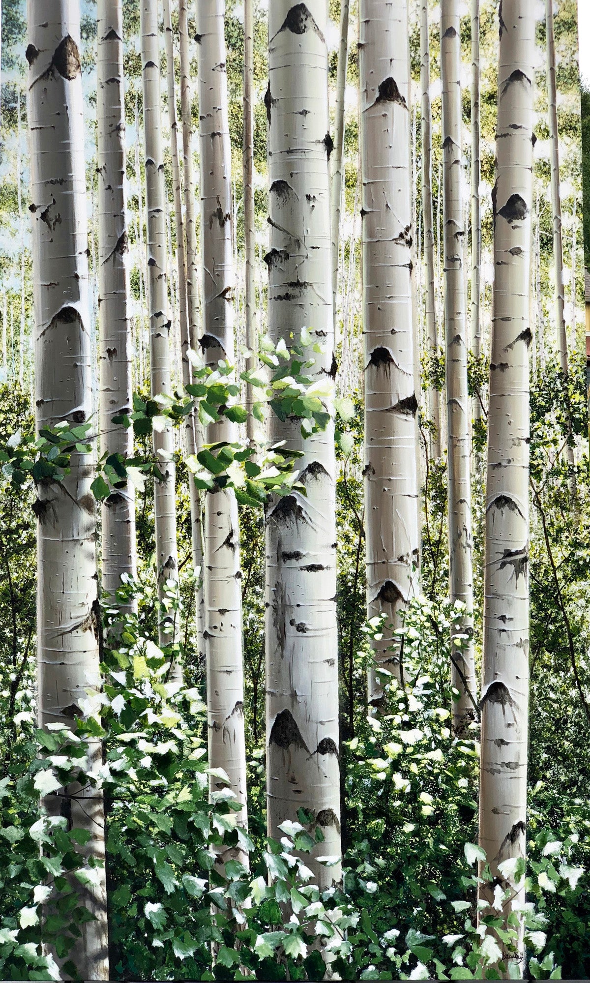 THE LIGHT THAT HIDES