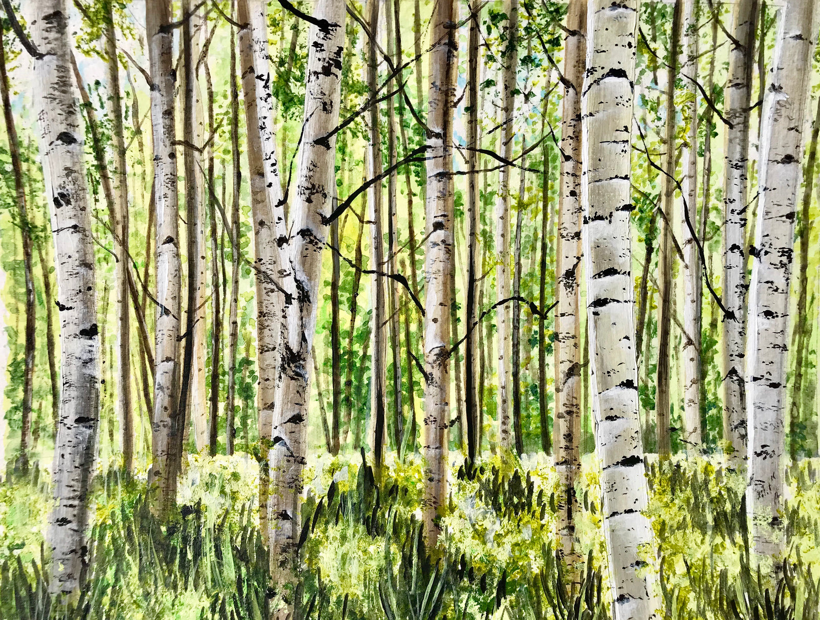 Aspen Trees artwork